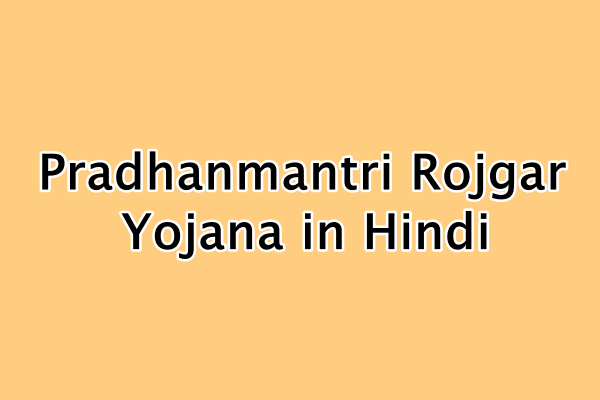 प्रधानमंत्री रोजगार योजना ऑनलाइन आवेदन | Pradhanmantri Rojgar Yojana in Hindi