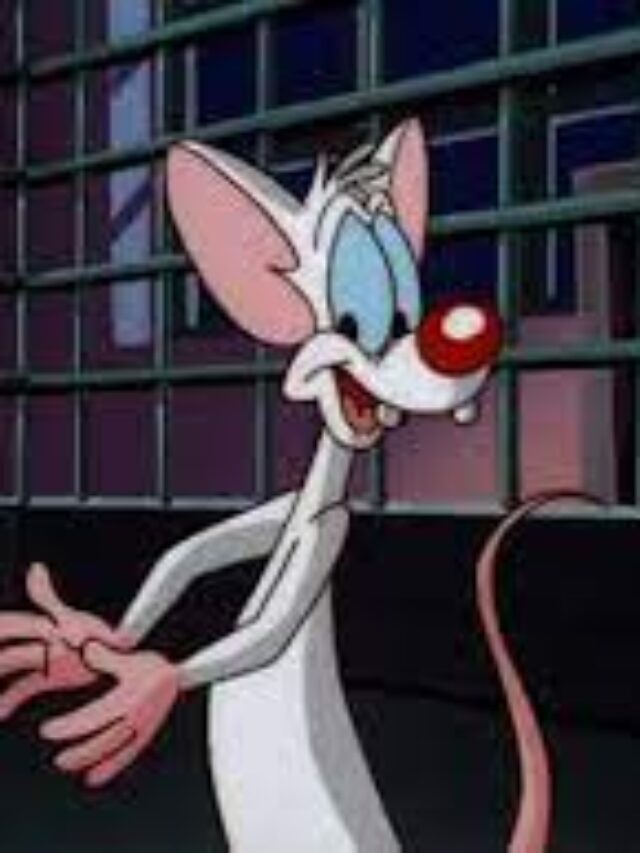 Fun Facts About Pinky and the Brain