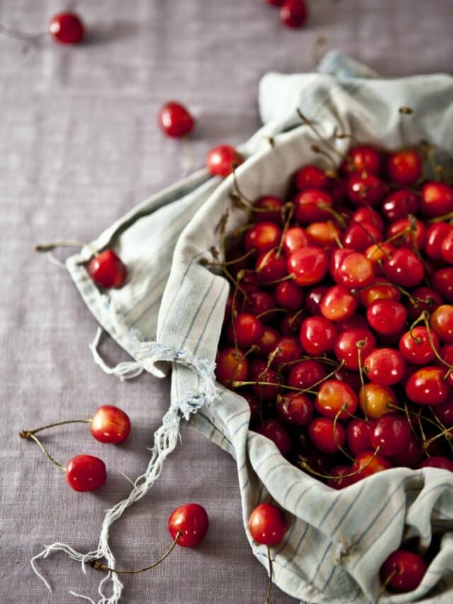 #Cherry #fruit #चेरी #फल (8)